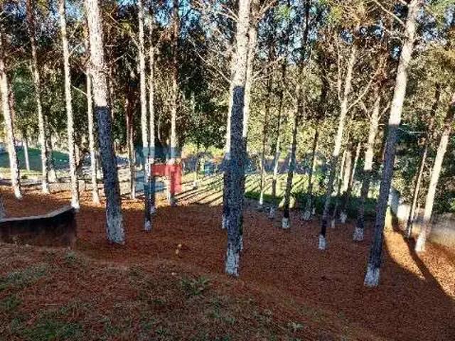 Sítio e chácara venda em Campo Limpo Paulista