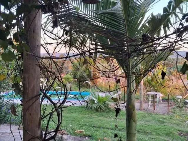 Sítio e chácara venda em Região Imediata de Jundiaí, Campo Limpo Paulista