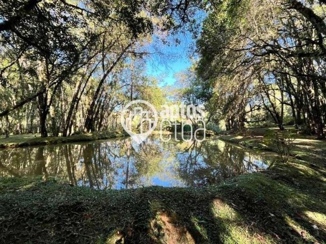 Sitio venda em Campo Magro, Jardim Veneza