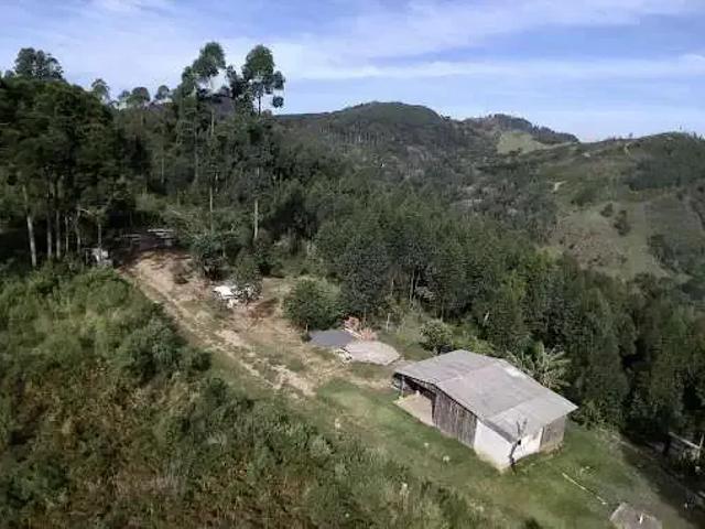 Sítio e chácara venda em Região Geográfica Imediata de Curitiba, Região Metropolitana de Curitiba