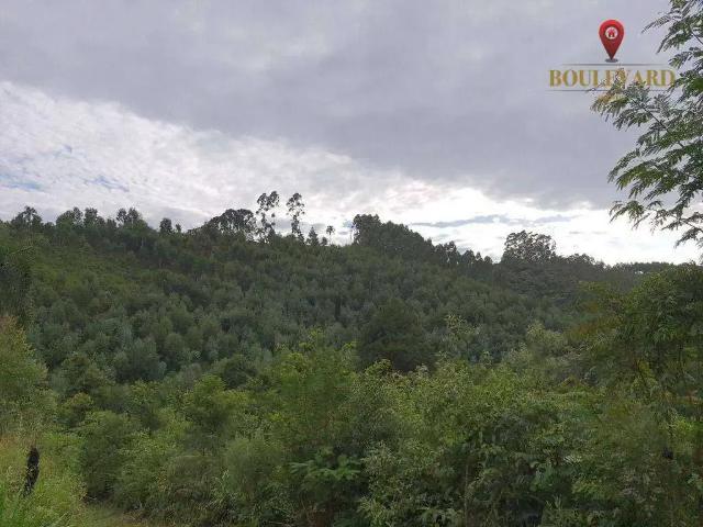 Sítio e chácara venda em Região Geográfica Imediata de Curitiba, Região Metropolitana de Curitiba