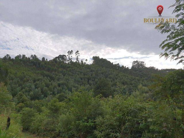 Sítio e chácara venda em Terra Boa, Campo Magro