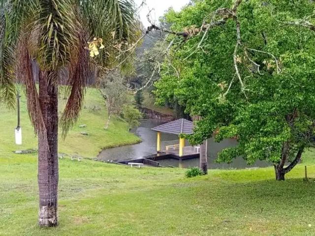 Sítio e chácara venda em Região Geográfica Imediata de Curitiba, Região Metropolitana de Curitiba