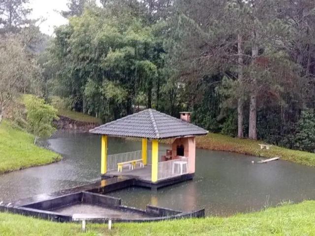 Sítio e chácara venda em Região Geográfica Imediata de Curitiba, Região Metropolitana de Curitiba