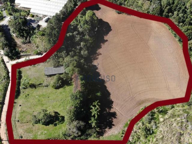 Sítio e chácara venda em Campo de Santo Antônio, Campo Magro