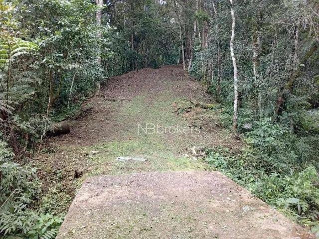 Sítio e chácara venda em Região Geográfica Imediata de Curitiba, Região Metropolitana de Curitiba