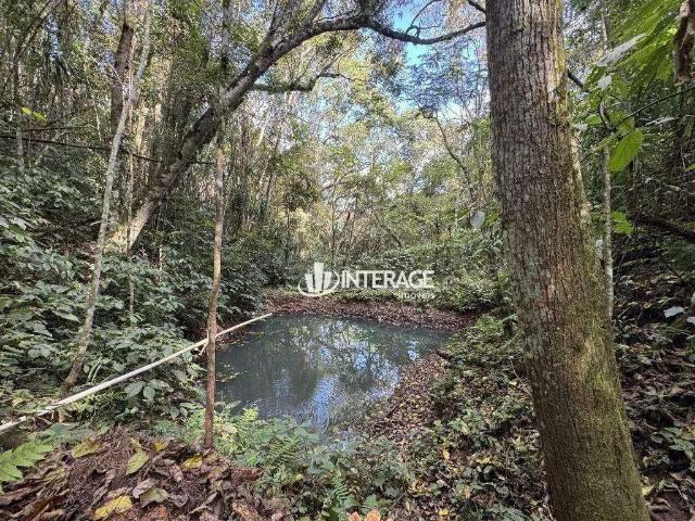 Sítio e chácara venda em Região Geográfica Imediata de Curitiba, Região Metropolitana de Curitiba