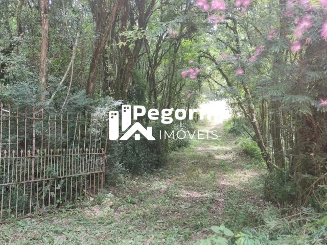 Sítio e chácara venda em Região Geográfica Imediata de Curitiba, Região Metropolitana de Curitiba