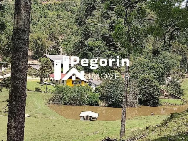 Sítio e chácara venda em Região Geográfica Imediata de Curitiba, Região Metropolitana de Curitiba