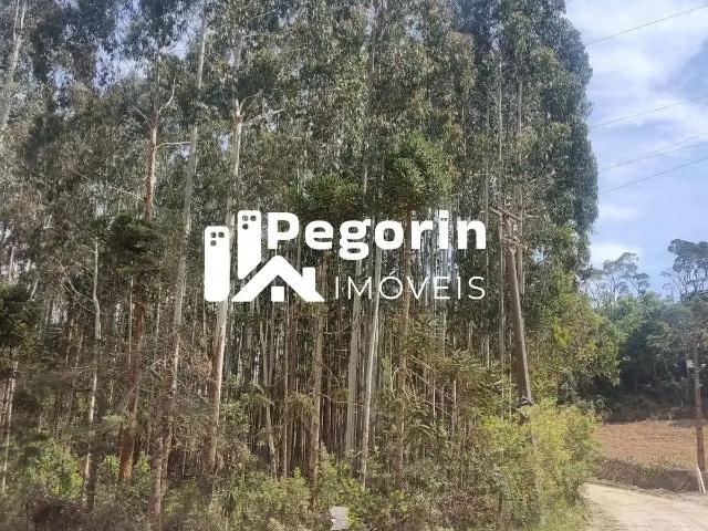 Sítio e chácara venda em Região Geográfica Imediata de Curitiba, Região Metropolitana de Curitiba