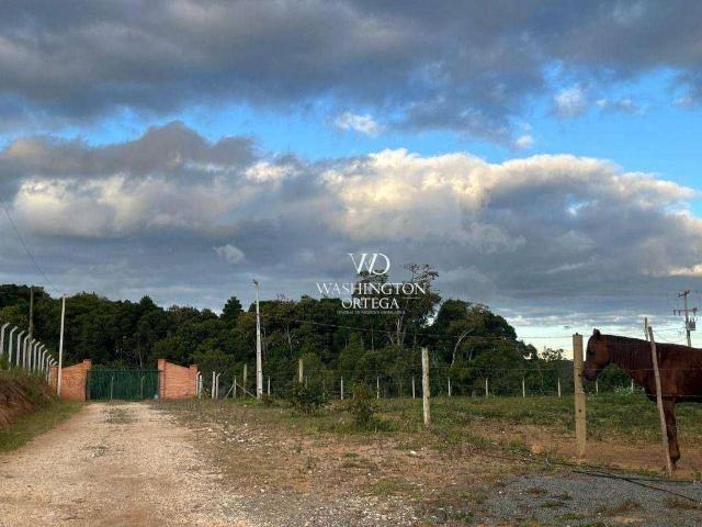 Sítio e chácara venda em Região Geográfica Imediata de Campo Mourão, Campo Mourão