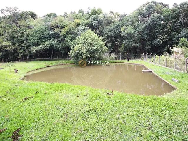 Sítio e chácara venda em Região Geográfica Imediata de Curitiba, Região Metropolitana de Curitiba