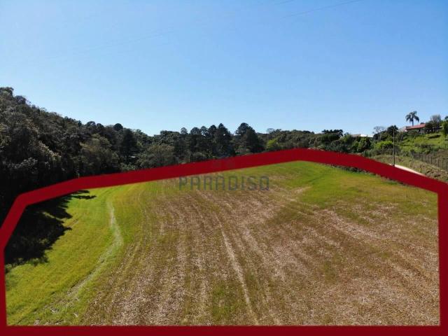 Sítio e chácara venda em Jardim Cecília, Campo Magro