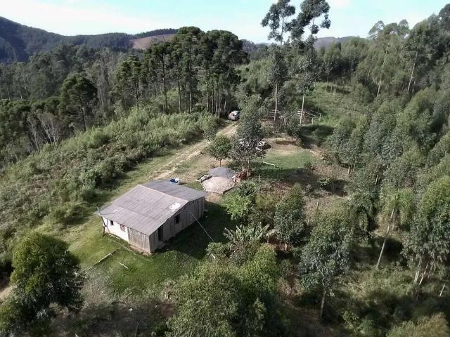Sítio e chácara venda em Região Geográfica Imediata de Curitiba, Região Metropolitana de Curitiba