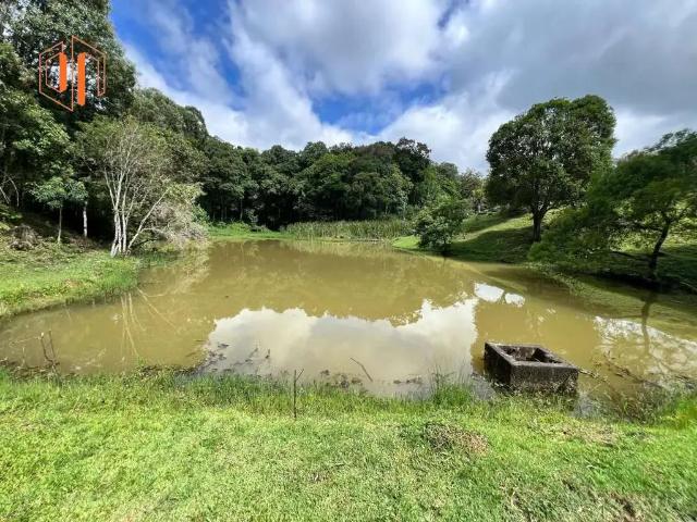 Sítio e chácara venda em Região Geográfica Imediata de Campo Mourão, Campo Mourão