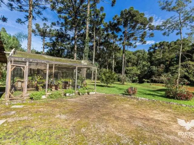 Sítio e chácara venda em Região Geográfica Imediata de Curitiba, Região Metropolitana de Curitiba