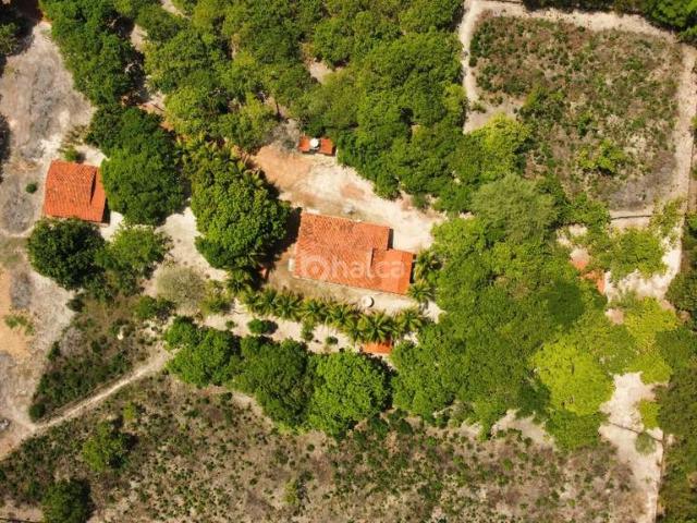 Sítio e chácara venda em Campo Maior, Região Nordeste