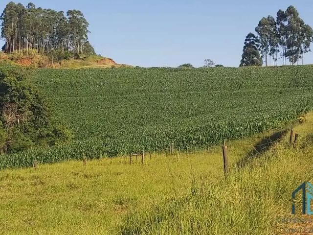Sítio e chácara venda em Região Geográfica Imediata de Campo Mourão, Campo Mourão
