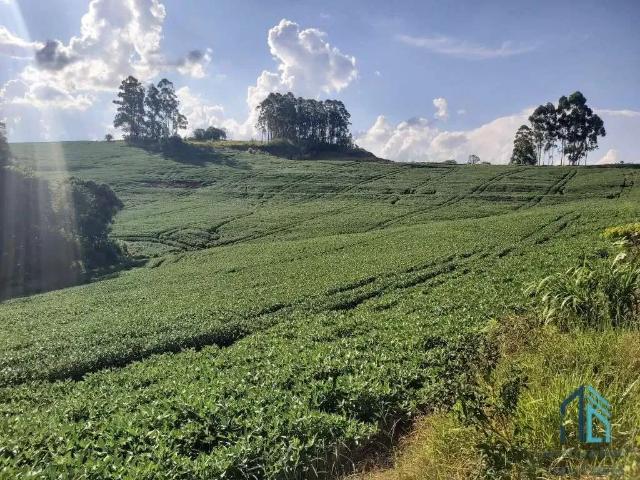 Sítio e chácara venda em Região Geográfica Imediata de Campo Mourão, Campo Mourão