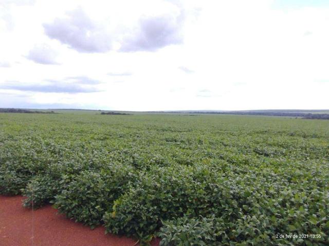 Sítio e chácara venda em Campo Verde, Região Geográfica Intermediária de Cuiabá