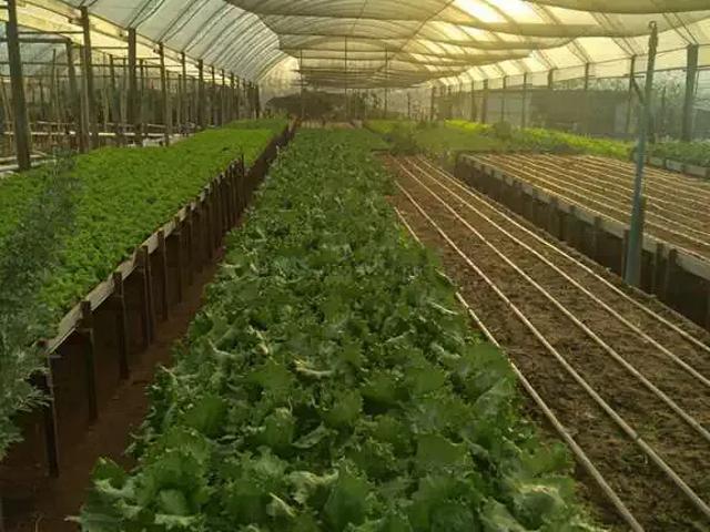 Sítio e chácara venda em Região Geográfica Imediata de Cuiabá, Região Metropolitana do Vale do Rio Cuiabá