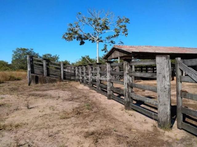 Sítio e chácara venda em Campos de Júlio, Região Geográfica Intermediária de Cáceres