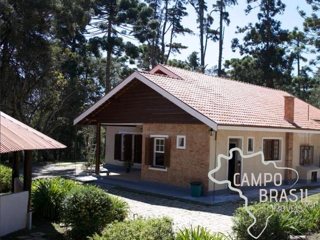 Sítio e chácara venda em Campos do Jordão