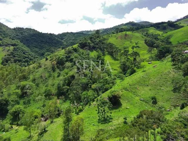 Sítio e chácara venda em Campos do Jordão