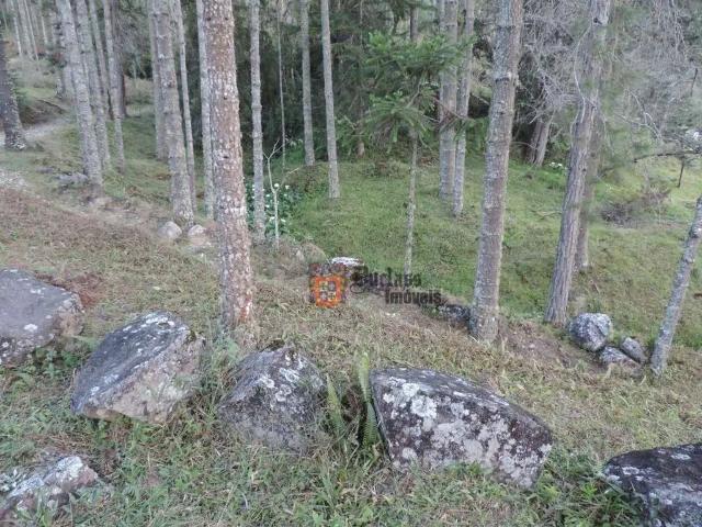 Sítio e chácara venda em Região Imediata de Taubaté-Pindamonhangaba, Região Metropolitana do Vale do Paraíba e Litoral Norte