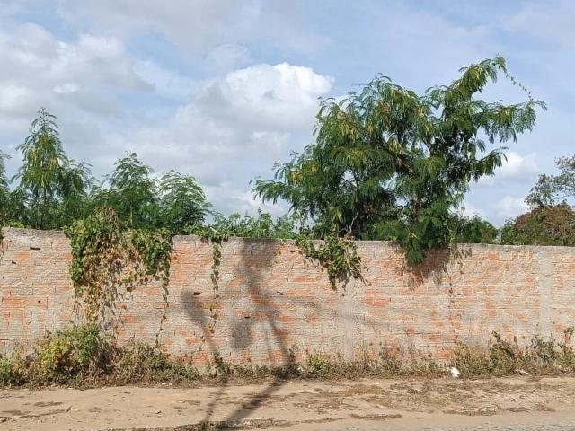 Sítio e chácara venda em Campos dos Goytacazes, Região Geográfica Intermediária de Campos dos Goytacazes