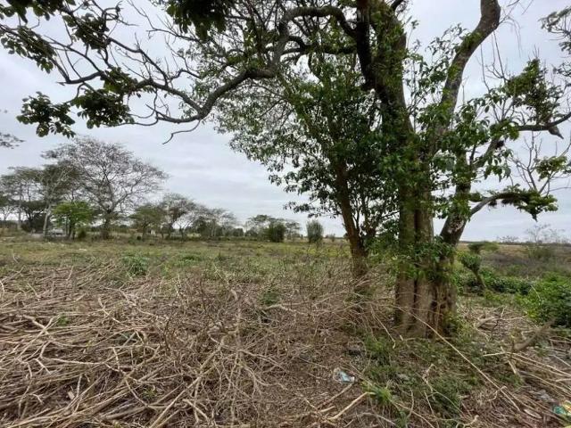 Sítio e chácara venda em Região Geográfica Imediata de Campos dos Goytacazes, Campos dos Goytacazes