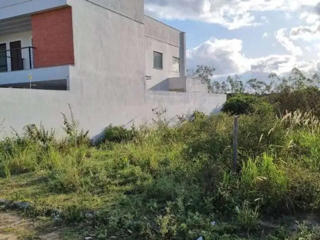 Sítio e chácara venda em Região Geográfica Imediata de Campos dos Goytacazes, Campos dos Goytacazes