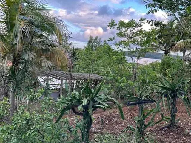 Sítio e chácara venda em Campos dos Goytacazes