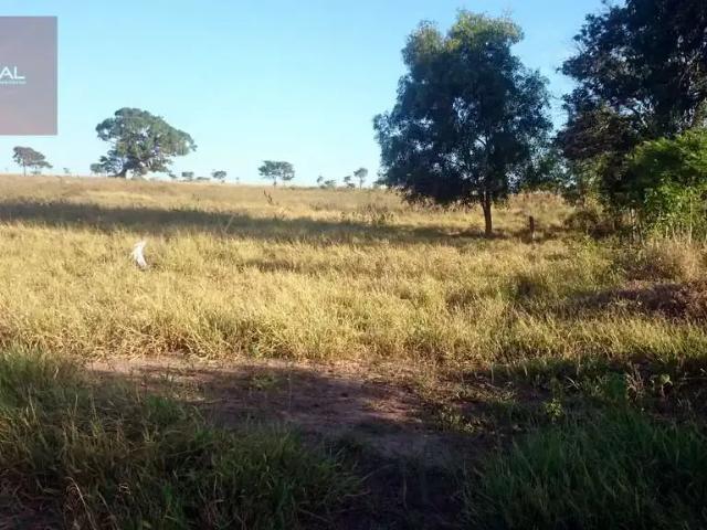 Sítio e chácara venda em Região Geográfica Imediata de Campos dos Goytacazes, Campos dos Goytacazes