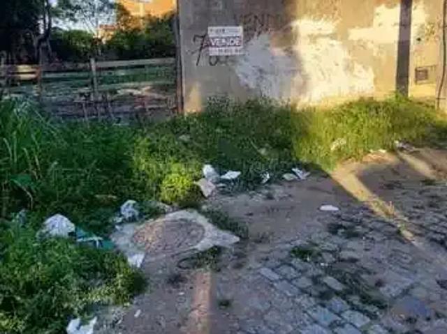 Sítio e chácara venda em Região Geográfica Imediata de Campos dos Goytacazes, Campos dos Goytacazes
