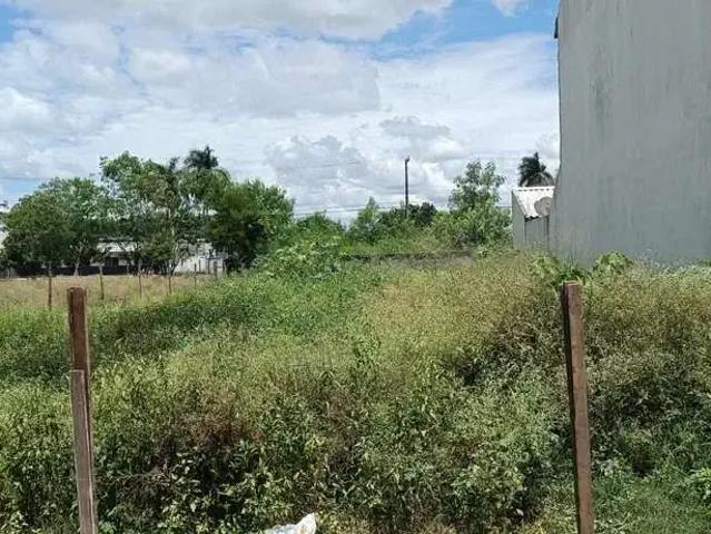 Sítio e chácara venda em Região Geográfica Imediata de Campos dos Goytacazes, Campos dos Goytacazes