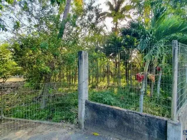 Sítio e chácara venda em Região Geográfica Imediata de Campos dos Goytacazes, Campos dos Goytacazes