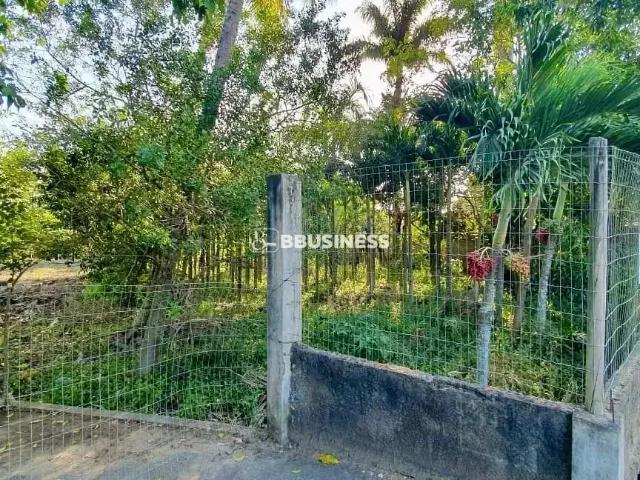 Sítio e chácara venda em Morangaba, Campos dos Goytacazes