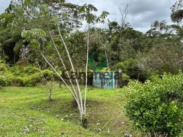 Sítio e chácara venda em Região Imediata de Registro, Cananeia