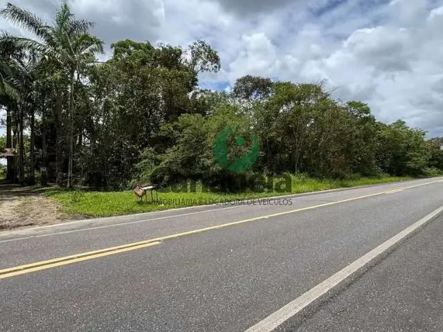 Sítio e chácara venda em Cananéia