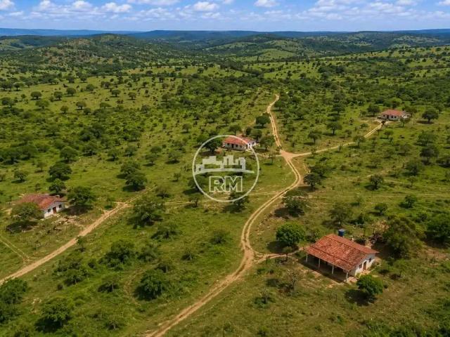 Sítio e chácara venda em Canapi, Região Nordeste