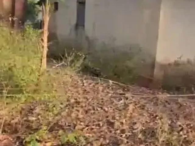 Sítio e chácara venda em Região Geográfica Imediata de Uberlândia, Canápolis