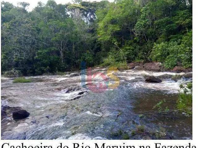 Sítio e chácara venda em Região Geográfica Imediata de Camacan, Canavieiras