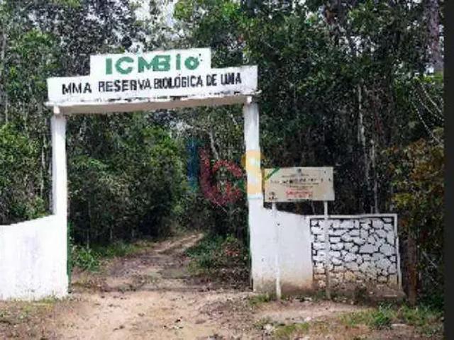 Sítio e chácara venda em Região Geográfica Imediata de Camacan, Canavieiras