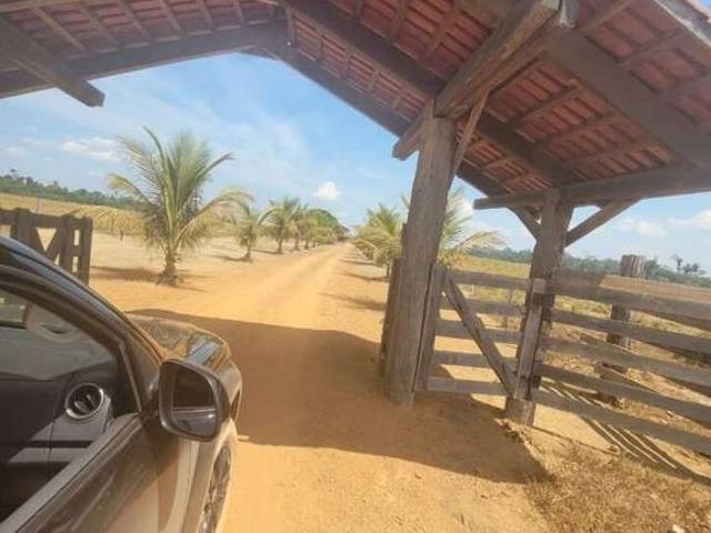 Sítio e chácara venda em Região Geográfica Imediata de Porto Velho, Candeias do Jamari