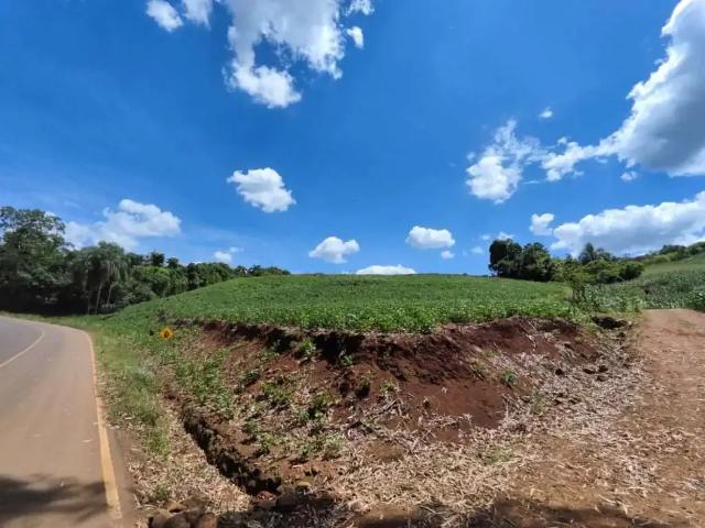 Sítio e chácara venda em Região Geográfica Imediata de Guarapuava, Candói