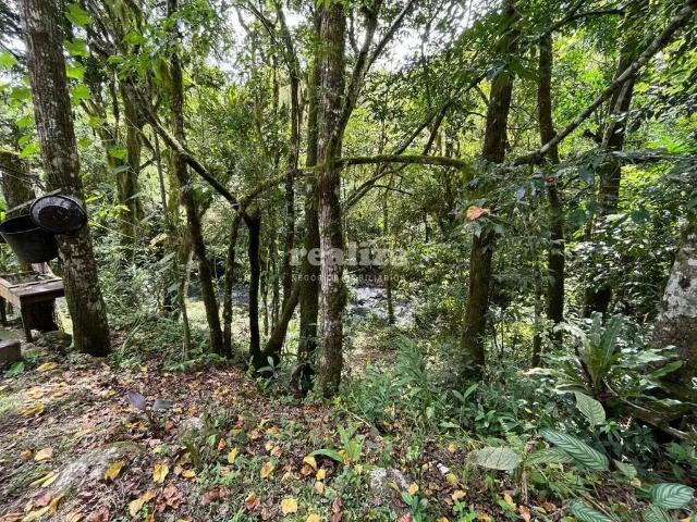 Sítio e chácara venda em Região Geográfica Imediata de Caxias do Sul, Canela