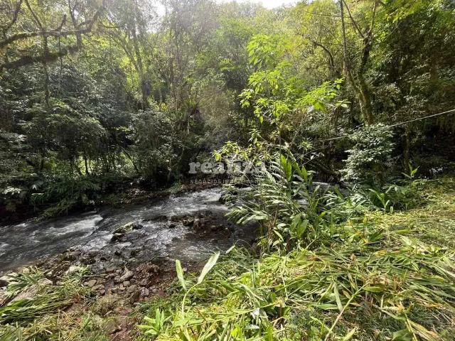 Sítio e chácara venda em Região Geográfica Imediata de Caxias do Sul, Canela