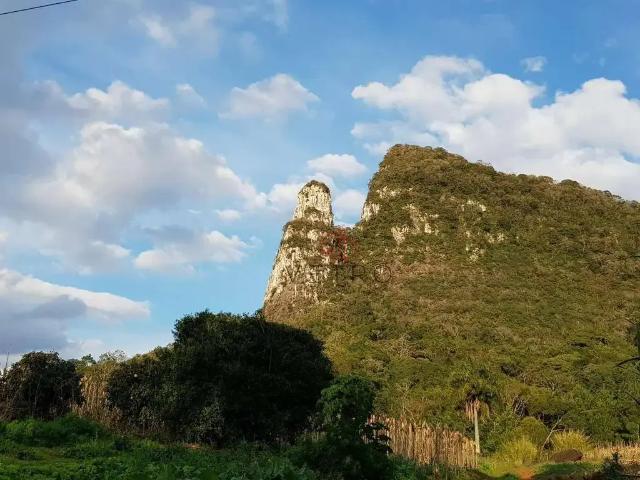 Sítio e chácara venda em Região Geográfica Imediata de Caxias do Sul, Canela
