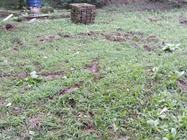 Sítio e chácara venda em Canela, Região Geográfica Intermediária de Caxias do Sul